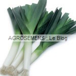 POIREAU-Rami, graines bio POIREAU-Rami, graines bio