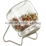 germoir graines germées- semences AGROSEMENS