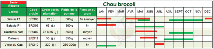 CalendrierBrocoli AGROSEMENS