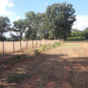 haie - ferme semencière bio AGROSEMENS