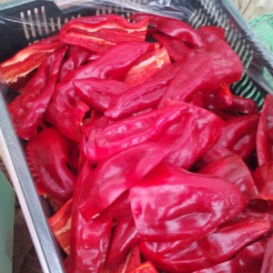 piment -bio AGROSEMENS piment -bio AGROSEMENS