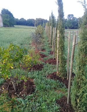 ferme semenciere bio - AGROSEMENS ferme semenciere bio - AGROSEMENS