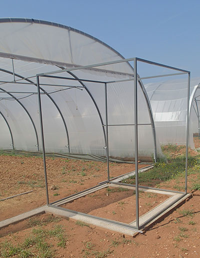serre, ferme semenciere bio - AGROSEMENS serre, ferme semenciere bio - AGROSEMENS