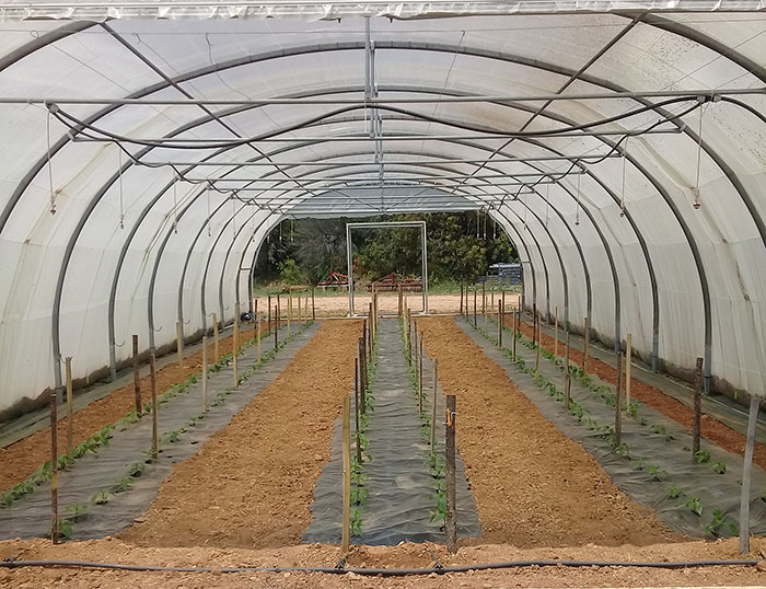 ferme semencière bio - AGROSEMENS