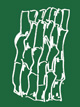 ecorce