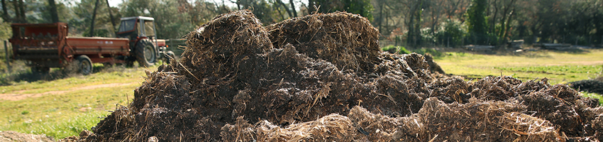 ferme semenciere bio - AGROSEMENS ferme semenciere bio - AGROSEMENS